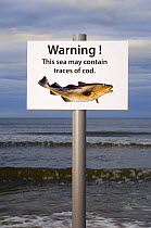 Spoof warning sign about scarcity of cod in the sea, Aberdeenshire, Scotland, UK