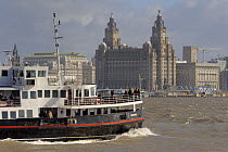The River Mersey Ferry with Liver Buildings in the background, Liverpool, Merseyside, March, European City of Culture 2008