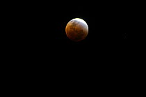 Full Lunar eclipse, New South Wales, Australia, 28th of August 2007, Sequence 2/4