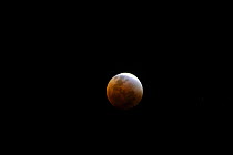 Full Lunar eclipse, New South Wales, Australia, 28th of August 2007, Sequence 3/4