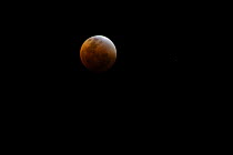 Full Lunar eclipse, New South Wales, Australia, 28th of August 2007, Sequence 4/4