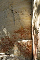 Aboriginal rock painting, Art Gallery Cave, Carnarvon National Park, Queensland, Australia