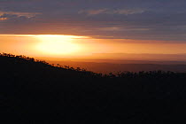 Sunrise over the Carnarvon National Park forest, Queensland, Australia