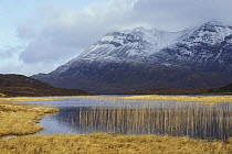Loch Stack and Arkle (mountain) with fresh snow on it, Highlands, Scotland, UK