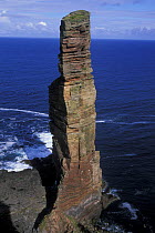 The Old Man of Hoy (sea stack 150m), Orkney, Scotland, UK