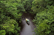 Looking down on Boat in flooded Amazon rainforest, Rio Negro during rainy season, Brazil 1994