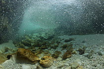 Underwater landscape in Soca river, Slovenia, June