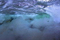 Underwater landscape in Hongrin River with ice on the river bed and surface in winter. Fribourg, Gruyère, Switzerland, December