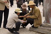 Men trading caterpillar fungus (Cordyceps sinensis) in market, Xining, Qinghai Province, Tibet, China