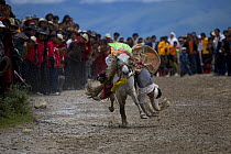 Man falling off horse, festival at Holy hill near Dargye, Sichuan Province, China, Tibet. Part of the Biodiversity hotspot Southeast China mountains