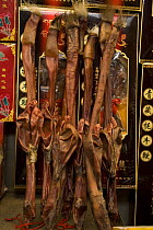 Dried beef testicles and penises, used in traditional Chinese medicine, Ximen market, Xining, Qinghai Province, Tibet, China