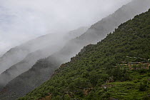 Holy hill near Dargye, Sichuan Province, China, Tibet, Kham, China, Biodiversity hotspot  of Southeast China mountains