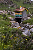 House for a prayer wheel over stream, Koko Nor lake, Tso Ngonbo, Qinghai Hu, Qinghai Province, Tibet, Amdo, China