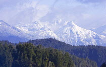 Bedingfield mountain range, Clayoquot Sound, Vancouver Island, BC, Canada
