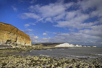 Seven Sisters from the beach at Seven Sisters Country Park, Sussex, UK