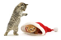 A playful tabby kitten pounces on a ginger kitten as he pokes his head out from a Father Christmas hat.