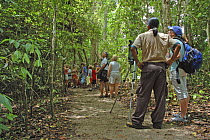 Tourists and photographer on path through rainforest, Manuel Antonio National Park, Costa Rica