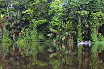 Tourists travelling by boat on river through rainforest, Tortuguero National Park, Costa Rica