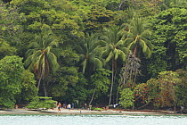 Tourists on beach, Manuel Antonio National Park, pacific coast of Costa Rica