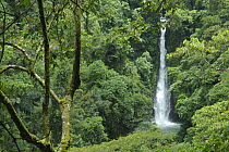 Waterfall in rainforest, Rara Avis, Costa Rica