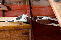 Rope and block detail on small clinker-built punt on Bristol's Floating Harbour, UK
