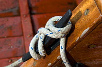 Wooden cleat detail on small clinker-built punt. Bristol Floating Harbour, UK