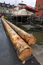 Tree trunks ready for planking at the Underfall Boatyard, Bristol Floating Harbour, UK    , July 2008