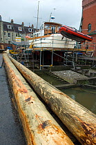 Tree trunks ready for planking at the Underfall Boatyard, Bristol Floating Harbour, UK. Motor yacht on slipway in background.     , July 2008