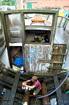 Man preparing paint in the hull of traditional Danish Fishing boat, Bristol Floating Harbour, UK. July 2008, Model Released