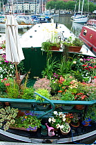 Ornate garden on narrow boat moored in Marina, Bristol Floating Harbour, UK   , July 2008