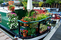 Ornate garden on narrow boat moored in Marina, Bristol Floating Harbour, UK   , July 2008