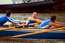 Bristol Pilot Gig Club's Men's crew practicing in their gig ^Isambard^ on Bristol Floating Harbour, UK. July 2008, Model Released