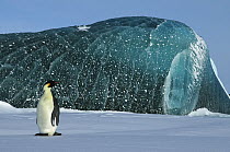 Emperor penguin {Aptenodytes forsteri} beside ice formation, Antarctica