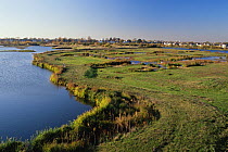 View from the Peacock Tower at the London Wetland Centre, Wildfowl and Wetlands Trust, on the banks of the River Thames at Barnes, London, UK
