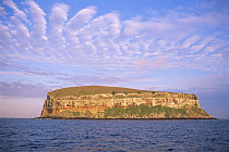 Darwin / Culpepper Island viewed from the sea, Galapagos