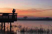 Person bird watching at dawn, Bosque del Apache National Wildlife Refuge, New Mexico, USA