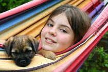 Border terrier (Canis familiaris) puppy with a girl in a hammock. Model released