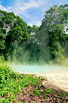 Steam rising from thermal springs, New Britain, Bismarck Archipelgo, Papua New Guinea