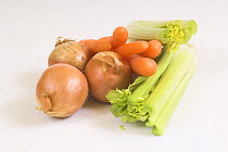 Vegetables ingredients for a basic stock - Carrots, Celery and Onions