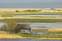 Cley Nature Reserve, showing freshwater marsh, reedbeds, birdwatching hides, sea wall and sea in distance, North Norfolk, UK