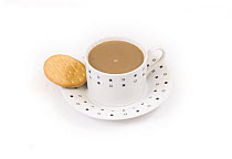 Coffee in a cup on saucer along with a Rich tea biscuit