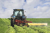 Tractor mowing grass for hay, Dorset, UK