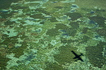 Aerial view of the shallow tropical sea at Nosy Be with shadow of aeroplane, North Madagascar.