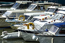 Cabin cruisers moored in marina during the Bristol Harbour Festival, August 2008