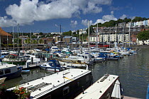 Narrowboats, cabin cruisers and yachts moored at Bristol Marina in summer, with Clifton skyline in the background, 2008
