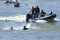 Newfoundland Dogs display at the Bristol Harbour Festival, August 2008