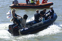 Newfoundland Dogs display at the Bristol Harbour Festival, August 2008