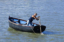 Sculling across the harbour in rowing boat at the Bristol Harbour Festival, August 2008