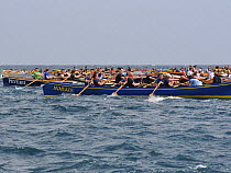 Men's crews racing at the 19th World Pilot Gig Championships, Isles of Scilly, May 2008