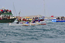 Caradon men's crew racing in their gig "Amelia Lee" at the 19th World Pilot Gig Championships, Isles of Scilly, May 2008